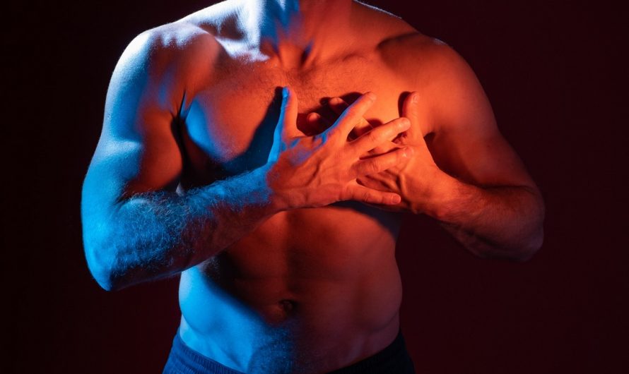 6 conseils pour renforcer le muscle cardiaque